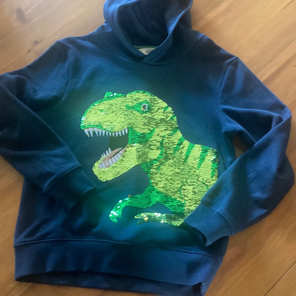 Sequin Navy Blue Dinosaur Hoodie Just Like New!